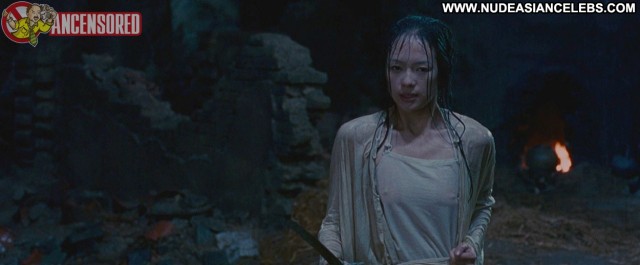 Ziyi Zhang Crouching Tiger Hidden Dragon Brunette International Asian